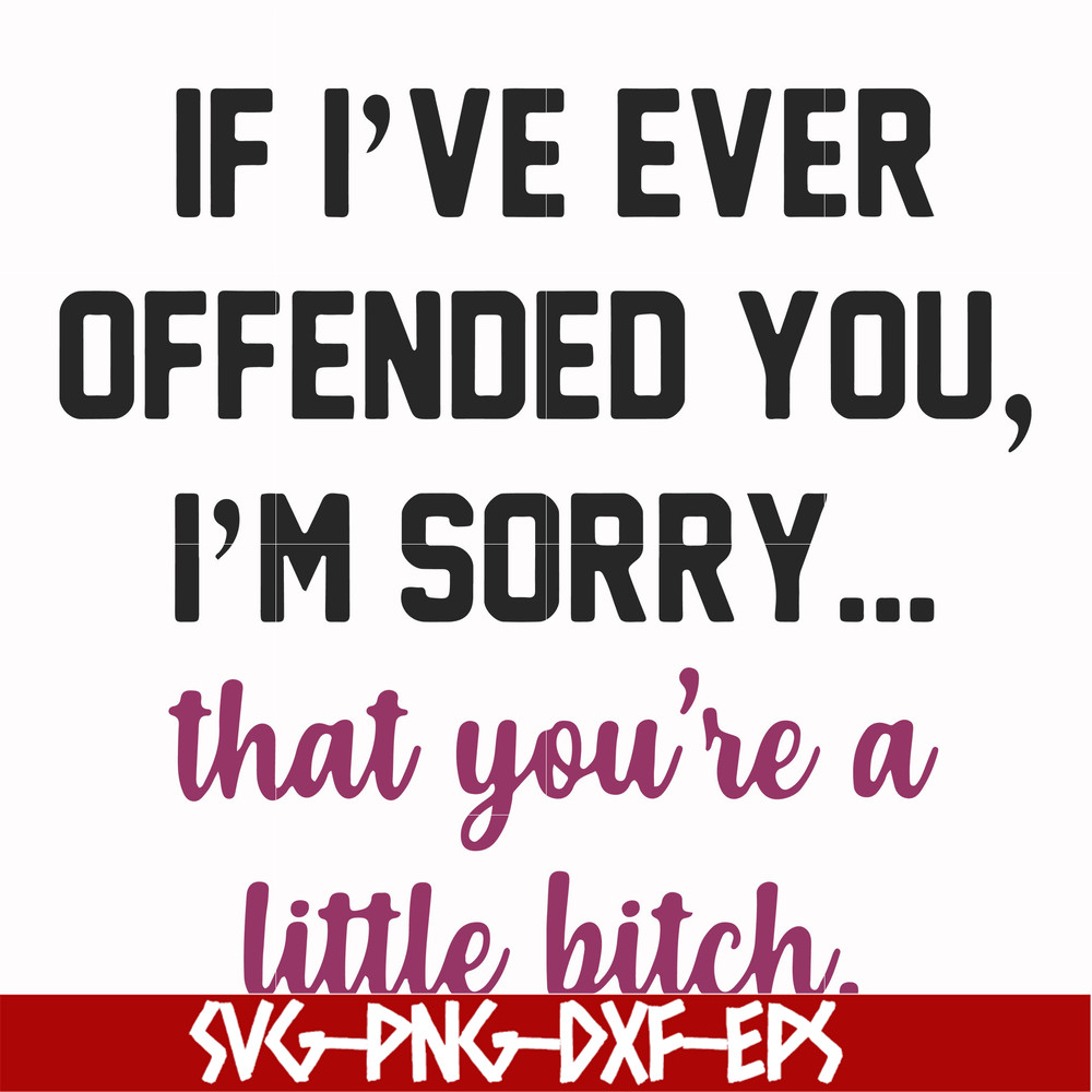 FN000506-If I've ever offended you I'm sorry that you're a little bitch svg, png, dxf, eps file FN000506.jpg