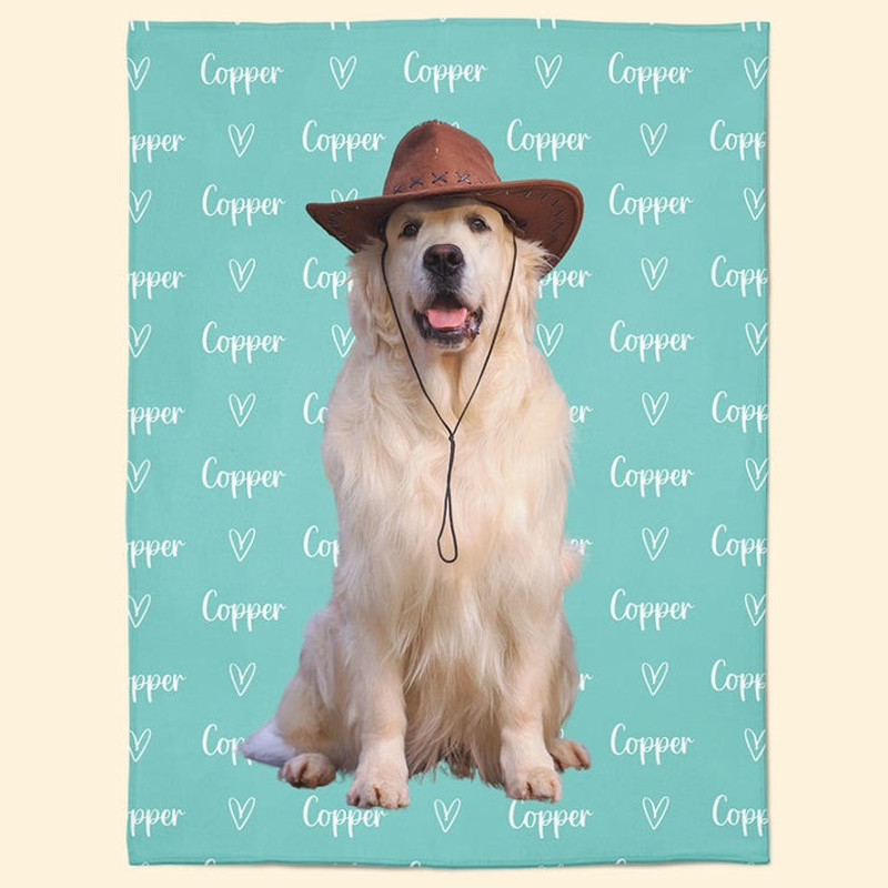 tải xdgdrgrguống.jpg