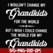 FN000332-I wouldn't change my grandkids for the world but I wish I could change the world for my grandkids svg, png, dxf, eps file FN000332.jpg