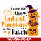 HLW0105-i care for the cutest pumpkins in the patch svg, png, dxf, eps digital file HLW0105.jpg