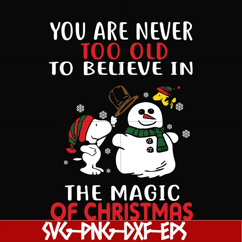 NCRM0178-You are never too old to believe in the magic of christmas svg, png, dxf, eps digital file NCRM0178.jpg