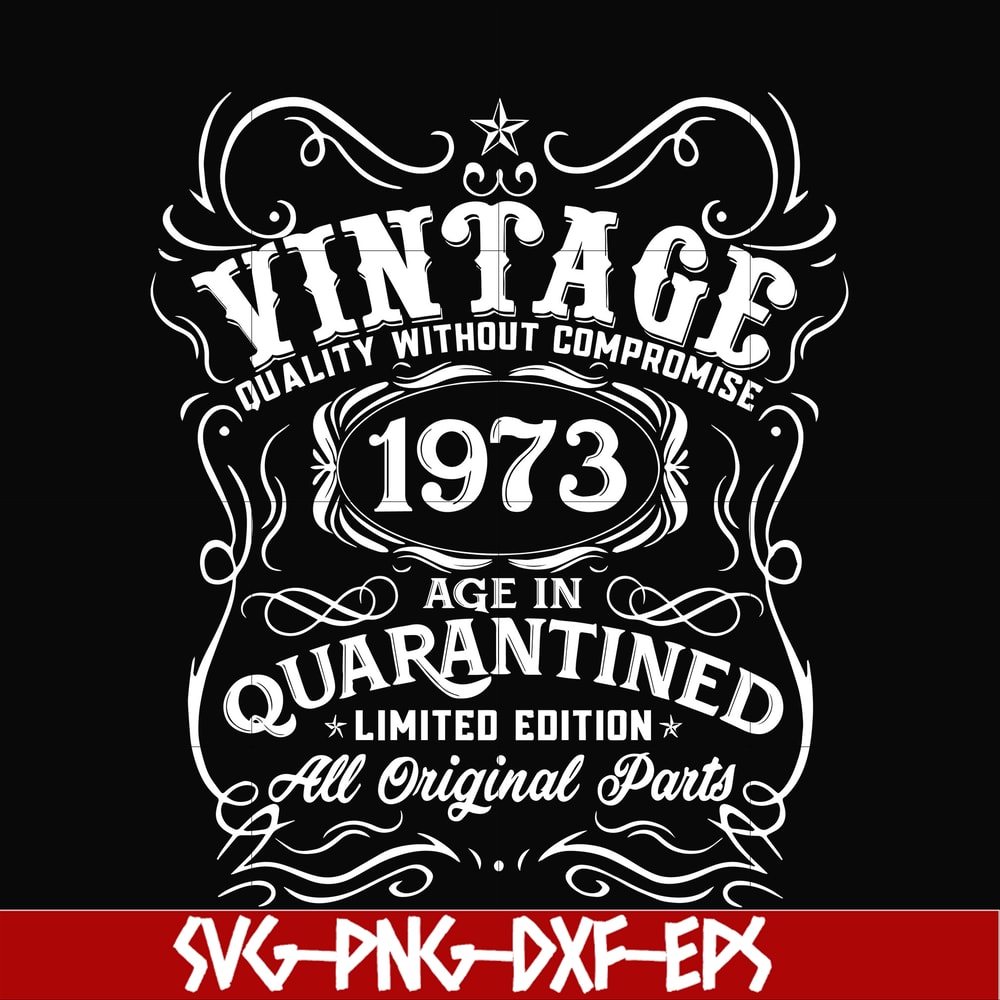 NBD0100-Vintage 1973 age in quarantined limited edition svg, limited edition svg, 1973 birthday svg, png, dxf, eps digital file NBD0100.jpg