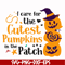 HLW0105-i care for the cutest pumpkins in the patch svg, png, dxf, eps digital file HLW0105.jpg