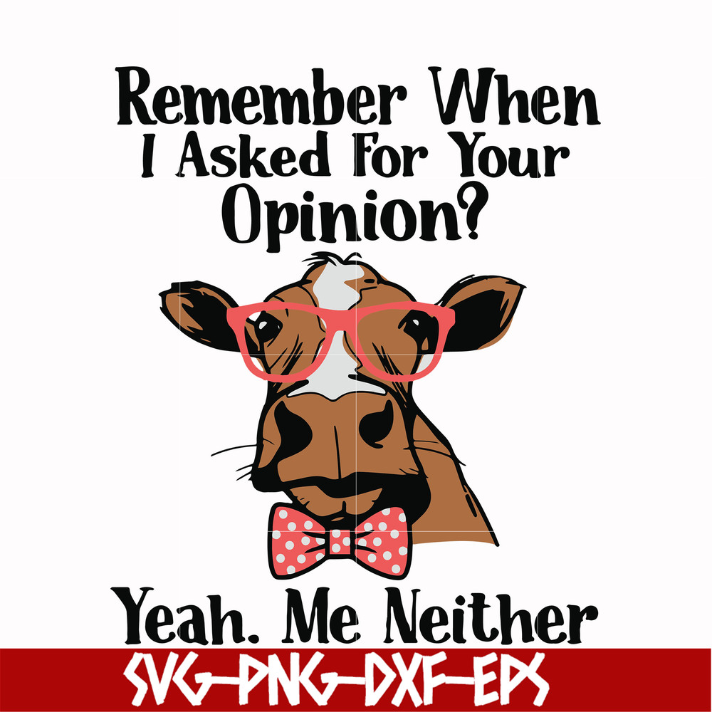 NCRM0147-Remember when i asked for your opinion yeah me neither svg, png, dxf, eps digital file NCRM0147.jpg