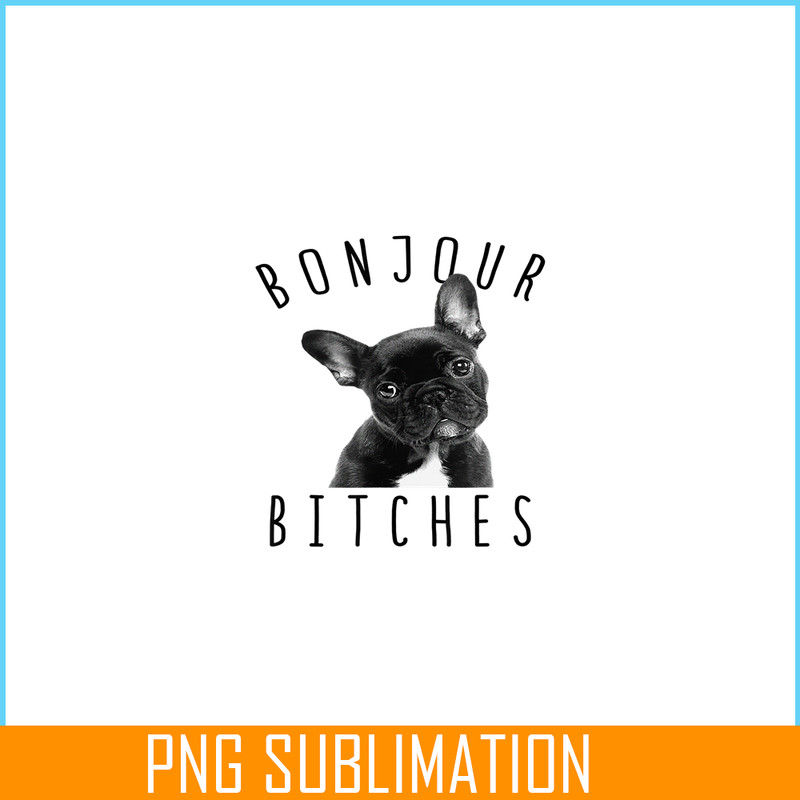 HL16102310-Bonjour Bitches PNG , Funny French Bulldog PNG, Dog Lover PNG.png