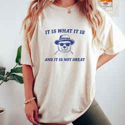 new! it is what it is and it is not great - unisex t shirt, funny t shirt, meme t shirt, cartoon bear t shirt