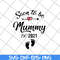 MTD02042111-Soon to be mummy est 2021 svg, Mother's day svg, eps, png, dxf digital file MTD02042111.jpg