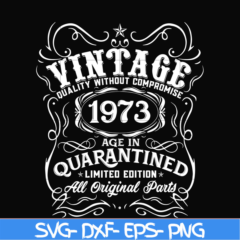 NBD0100-Vintage 1973 age in quarantined limited edition svg, limited edition svg, 1973 birthday svg, png, dxf, eps digital file NBD0100.jpg
