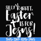 FN00050-Silly rabbit Easter is for Jesus svg, png, dxf, eps file FN00050.jpg