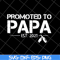 FTD28042118-Promoted to papa 2021 svg, Fathers day svg, png, dxf, eps digital file FTD28042118.jpg