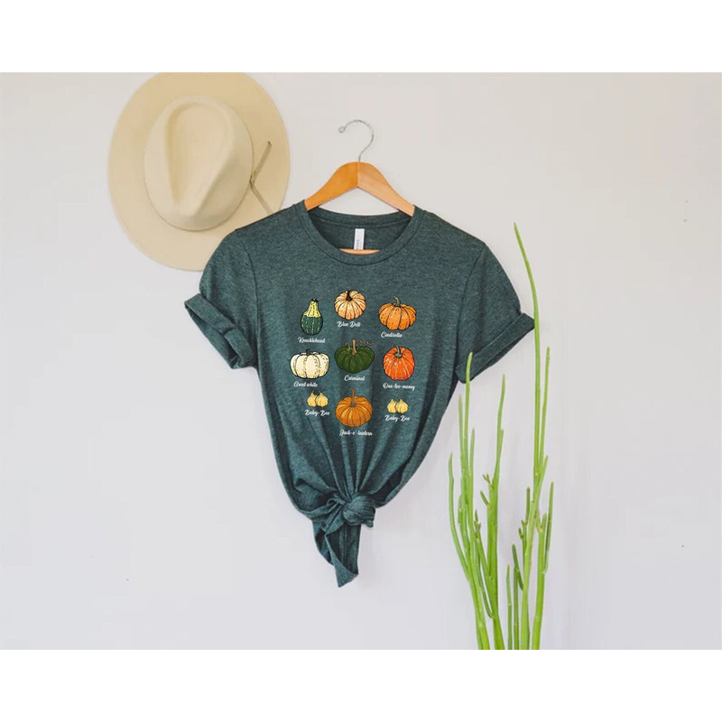 Pumpkin Patch Pumpkin Shirt, Thanksgiving Tee, Cute Fall Shirt, Fall Te, Pumpkin Silhouette, Bella Canvas Tee, Womens Graphic Tee, Graphic t.jpg