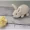 rabbit Amigurumi Crochet Patterns, Crochet Pattern.jpg
