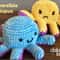 Reversible Octopus Amigurumi Amigurumi Crochet Patterns, Crochet Pattern.jpg