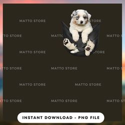 digital png file - australian shepherd in pocket 1 - matto store