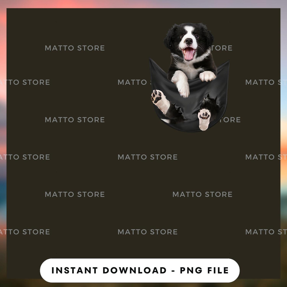 Border Collies Inside Pocket 1.jpg