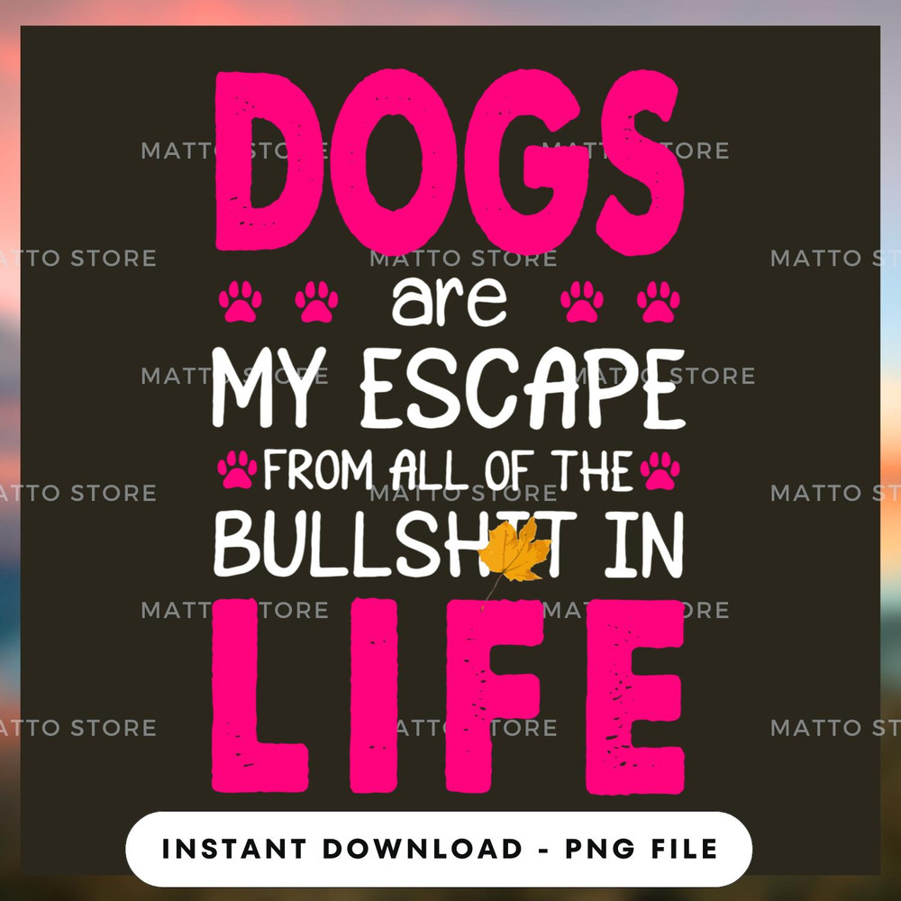 Dogs are my escape from all of the.jpg