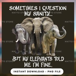 digital png file - sometimes i question my sanity - matto store