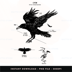 crow digital png file, instant download, png download