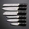 Custom Handmade 6PCS Damascus Steel Kitchen Chef Knives Set Full Tang PAkka Wood And Brass Handle W 1