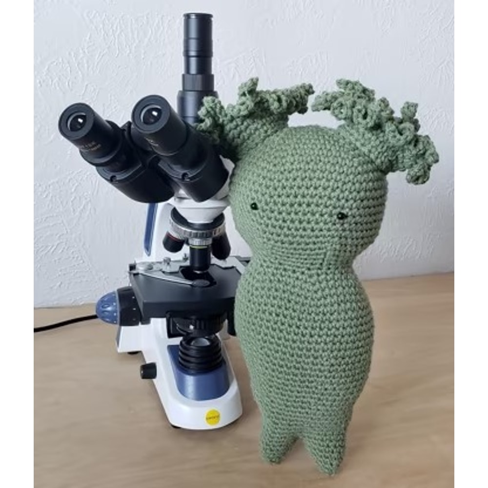 Rotifer Plushy Amigurumi Crochet Patterns, Crochet Pattern.jpg