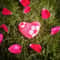 Herz mit African flowers Heart for Valentine.jpg