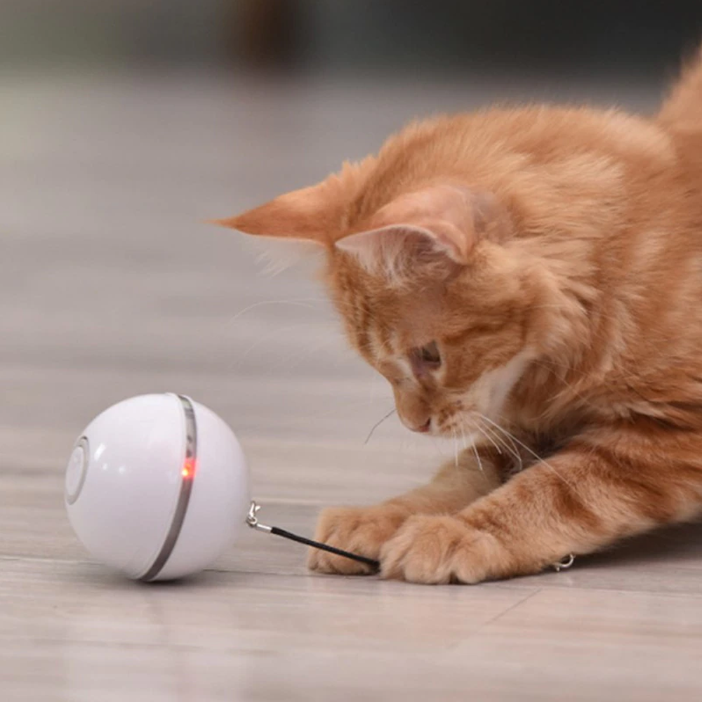1656139797_smartinteractiveselfrotatingcattoyball4.png