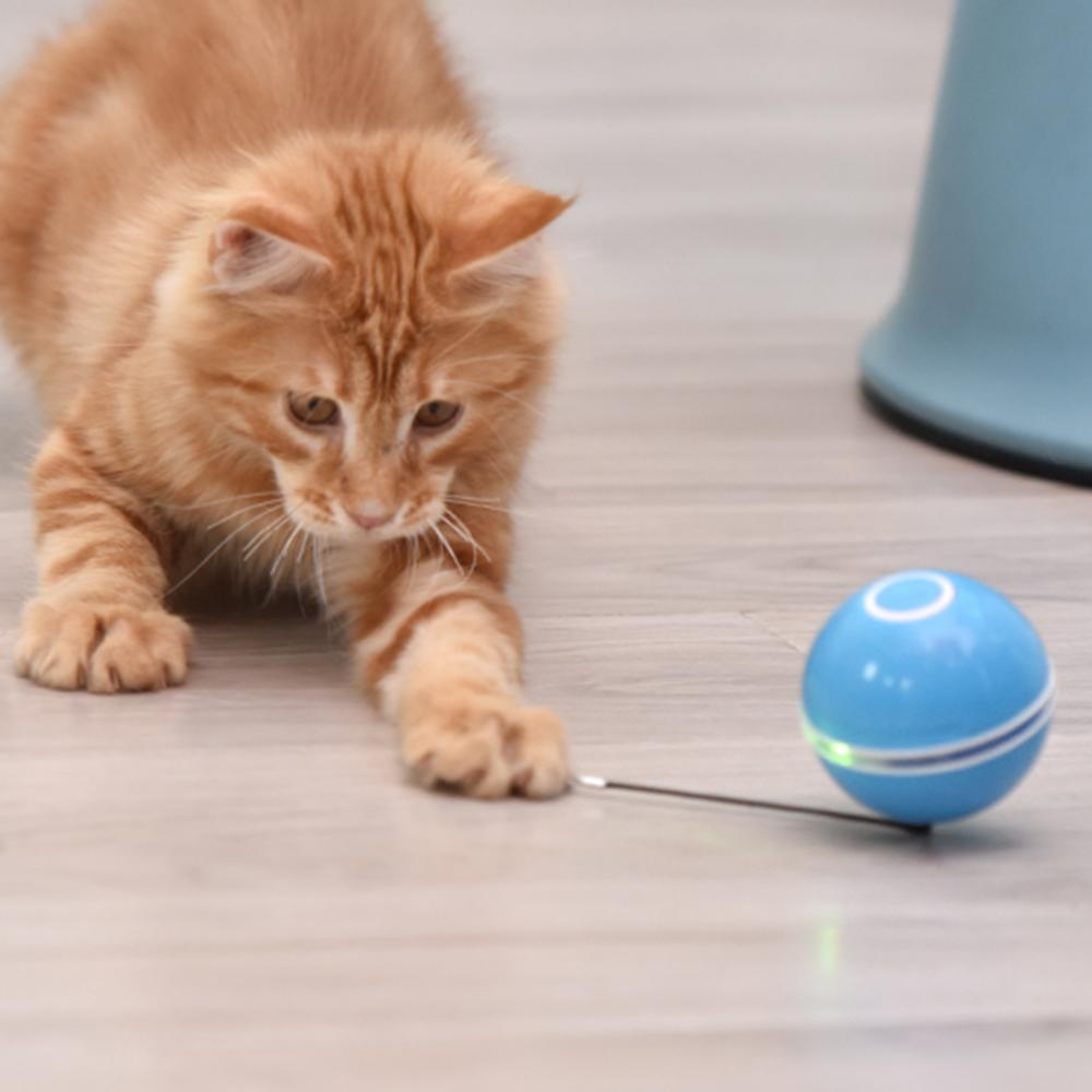 1656139785_smartinteractiveselfrotatingcattoyball3.png