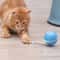 1656139785_smartinteractiveselfrotatingcattoyball3.png