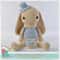 Amigurumi Bunny Rabbit, Amigurumi Crochet Patterns, Crochet Pattern.jpg