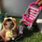 Baby in a Baby Stroller, Amigurumi PDF Pattern toys patterns.jpg