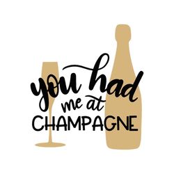 you had me at champagne drinking day quotes svg