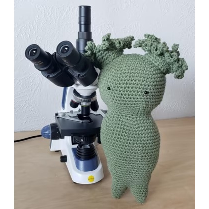 Rotifer Plushy Amigurumi Crochet Patterns, Crochet Pattern.jpg