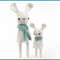Amigurumi Straight Bunny Rabbit 2 in 1, Amigurumi Crochet Patterns, Crochet Pattern.jpg
