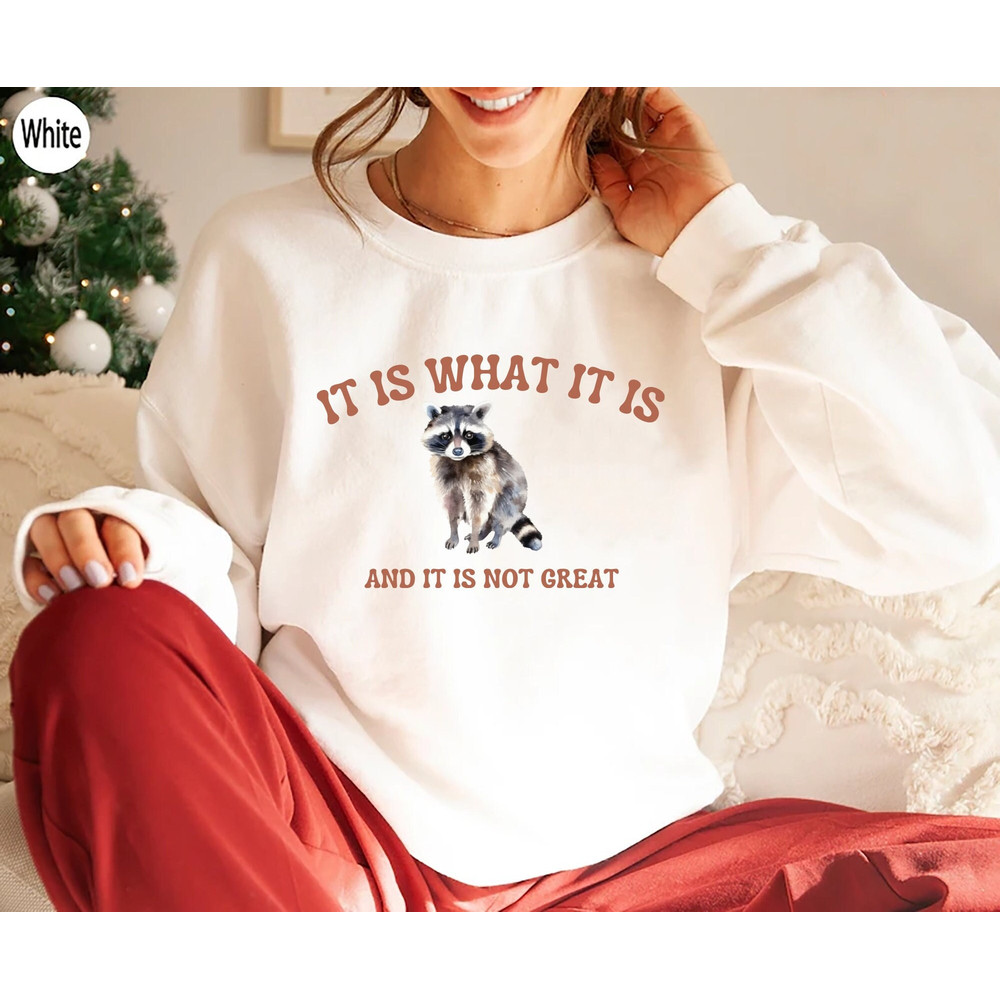 It Is What It Is And It Is Not Great - Vintage Drawing T Shirt, Raccoon Meme T Shirt, Funny Trash Panda T Shirt, Unisex Tee.jpg