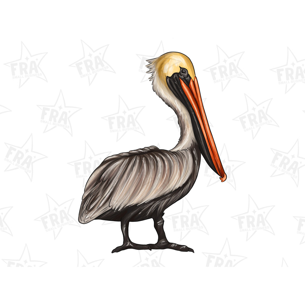 Mardi Gras Pelican Png,Sublimation Design,Louisiana Mardi Map Png,Pelican,Digital Download,Mardi Gras Png,Mardi Gras Pelican Png,Pelican Png 1.jpg