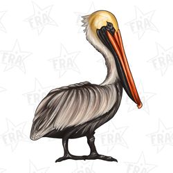 mardi gras pelican png,sublimation design,louisiana mardi map png,pelican,digital download,mardi gras png,mardi gras pel