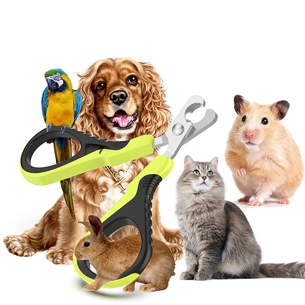 Pet Nail Clippers for Small Animals, Professional Clippers for Dogs, Cats, Rabbits, Hamsters, Birds and Other Pets