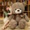 High Quality Teddy Bear With Love Colors Stuffed Animals Plush Toys Doll Pillow Kids Lovers Birthda 0