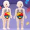 Educational Puzzle Toy, Human Body Anatomy Model for Kids, Montessori Organ Assembled Learning Tool