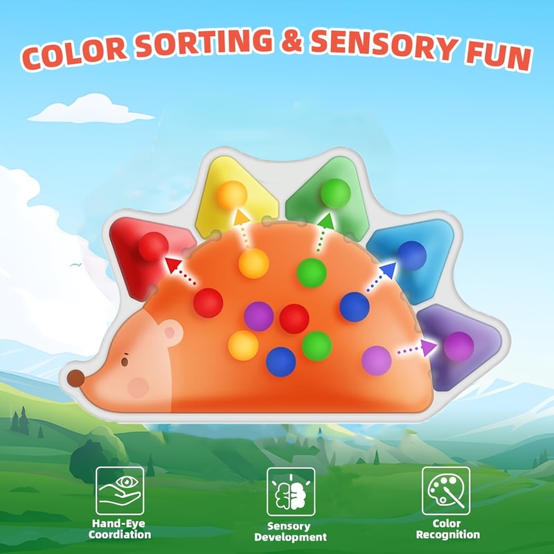Sensory Color Sorting Toys, Fidget Toys for Toddlers, Montessori Fine Motor Skill Learning Games