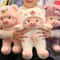 Stuffed Cartoon Pig Plush Toy With Bear Hat Cute Doll For Bed Sofa Decoration Birthday Gifts For Ki 0