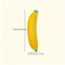 Fun Decompressing Toy Super Stretchy Banana Simulation For Hand Therapy Knead Toy 1