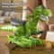 Dinosaur Ride On Cars With Music Light Mist Spray Wagging Tail For Toddlers Indoor Outdoor Birth 5