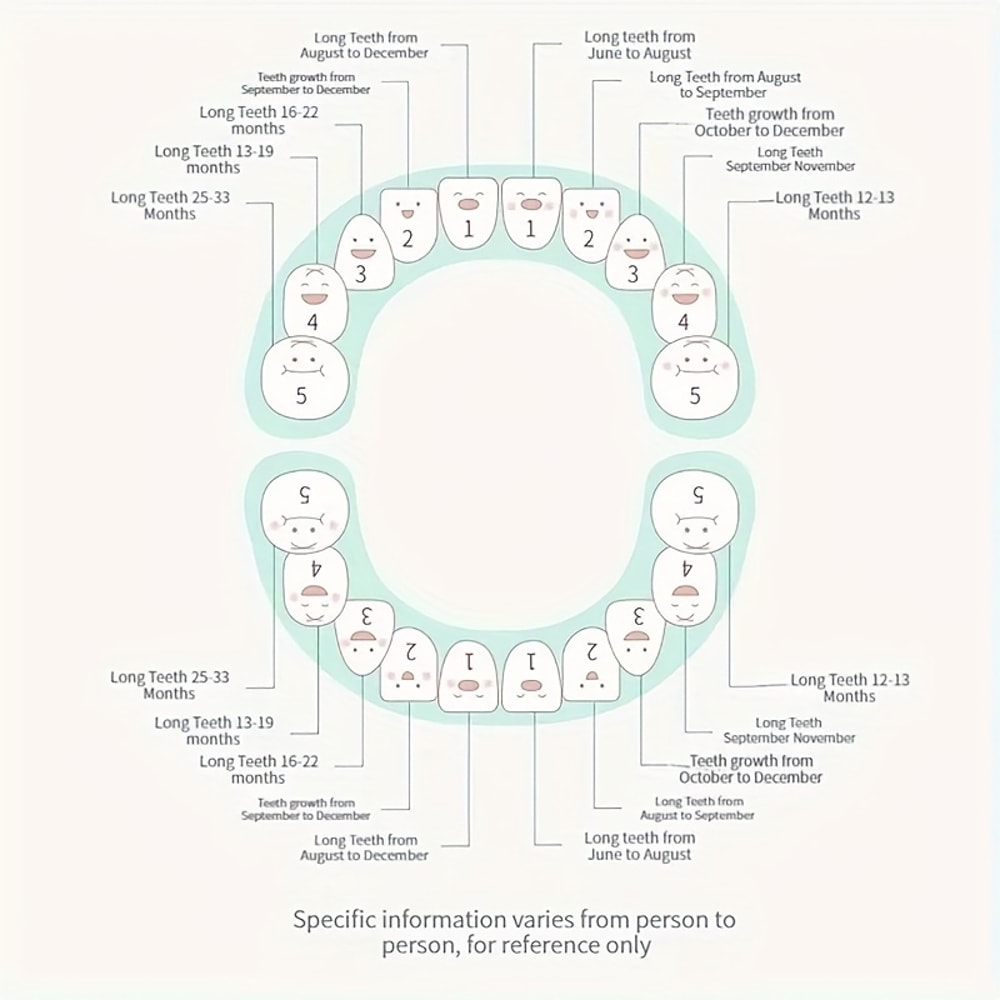 Rabbit Shape Baby Tooth Keepsake Box, Bunny Ear Holder, Lost Teeth Storage Box for Newborns