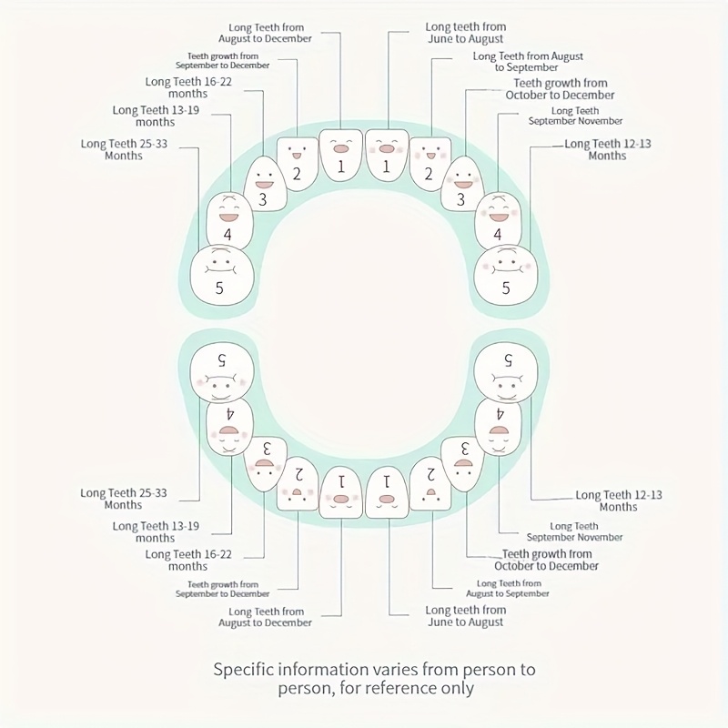 Rabbit Shape Baby Tooth Keepsake Box, Bunny Ear Holder, Lost Teeth Storage Box for Newborns