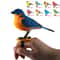 Interactive Electric Singing Bird Toy, Simulation Electronic Bird Toys for Kids with Motion Control