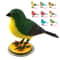 Interactive Electric Singing Bird Toy, Simulation Electronic Bird Toys for Kids with Motion Control