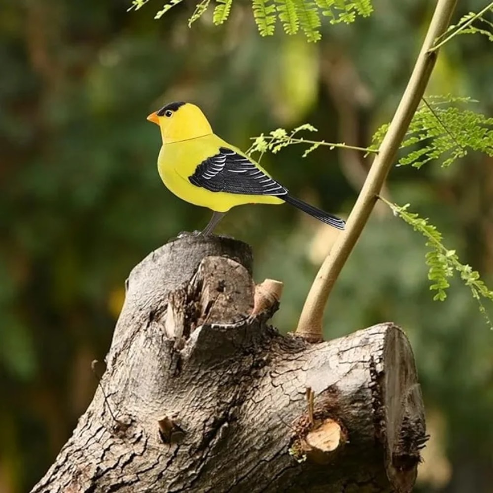 Electric Singing Bird Toy, Cute Interactive Bird Toy Simulation for Kids with Motion & Sound Control