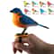 Electric Singing Bird Toy, Cute Interactive Bird Toy Simulation for Kids with Motion & Sound Control