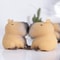Chubby Capybara Squeeze Toy – Super Soft Sensory Toy for Anxiety Relief